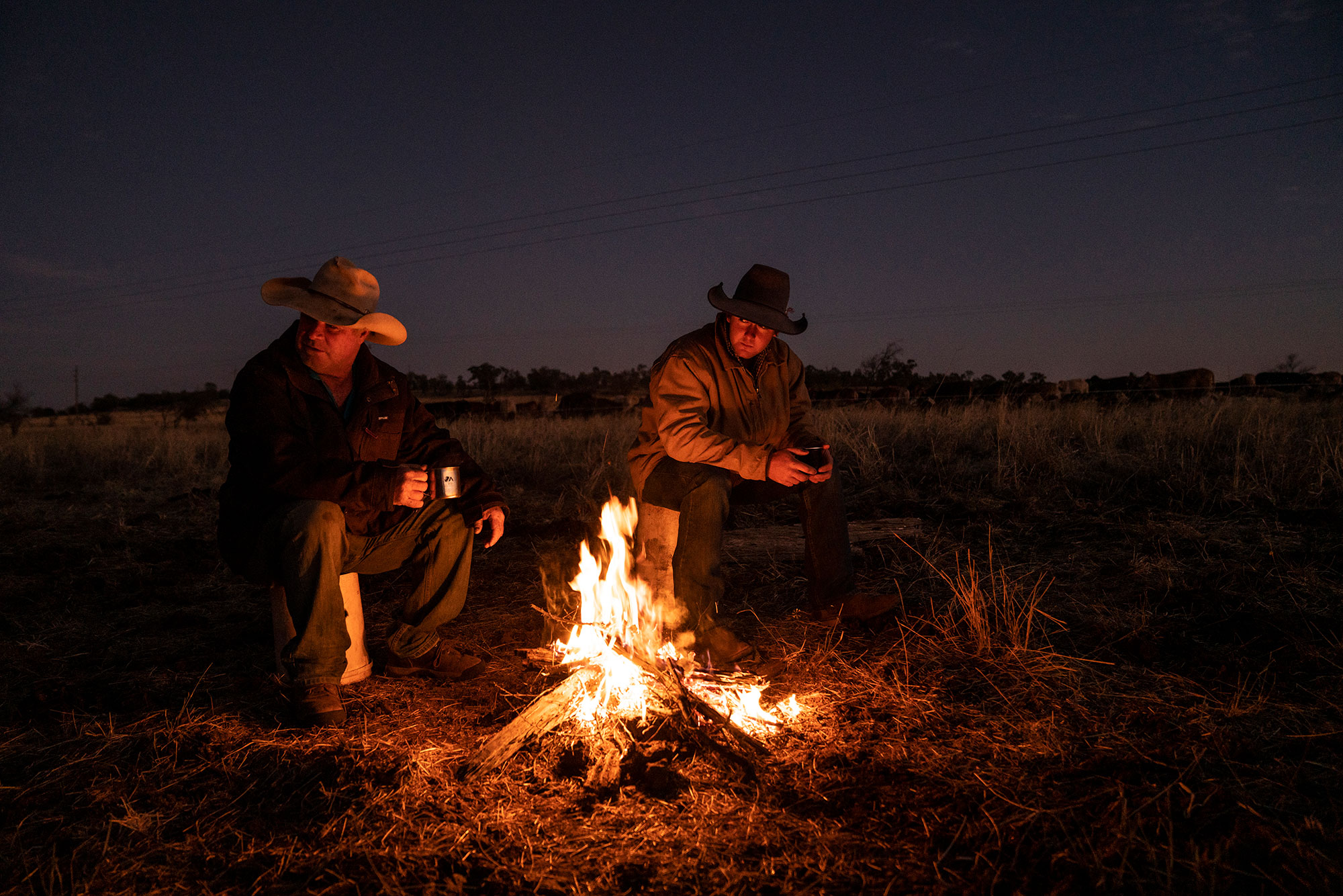 Drovers_JCA4399_Jeff_Camden
