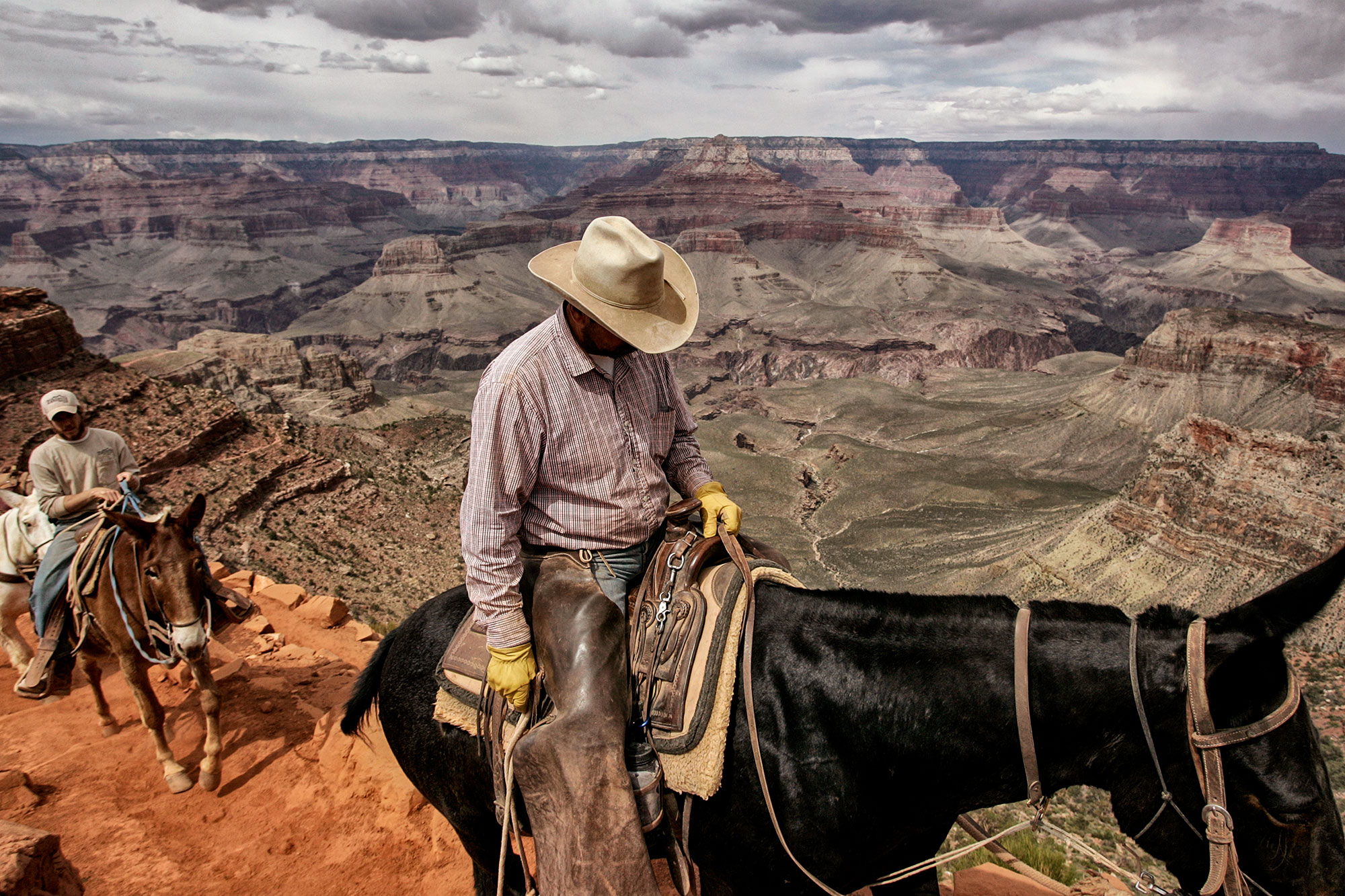 Jeff_Camden_Grand_Canyon_Mule
